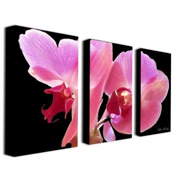 Trademark Fine Art -Kathie McCurdy 'Orchid' Canvas Art Set
