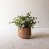 Routed Stripe Terracotta Planter by Foreside Home & Garden - 2 of 4