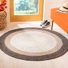 Braided BRD903 Hand Woven Rug - Safavieh - 2 of 4