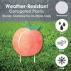 Big Dot of Happiness Sweet as a Peach - Yard Sign and Outdoor Lawn Decorations - Fruit Themed Baby Shower or Birthday Party Yard Signs - Set of 8 - 3 of 4