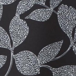 black dot palm