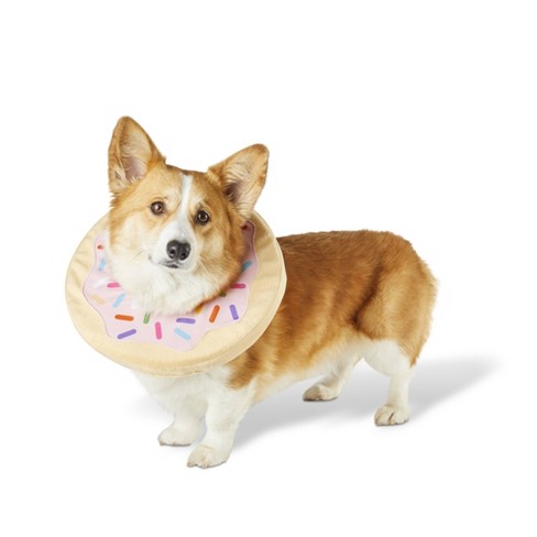 Donut dog clearance