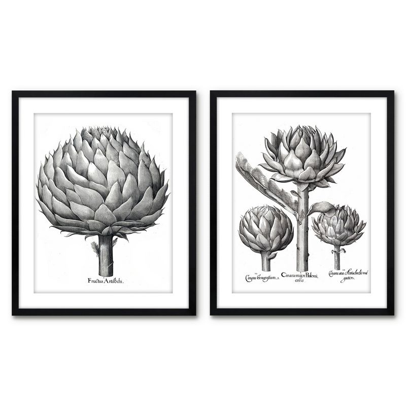 Americanflat 2 Piece 16x20 Wrapped Canvas Set - Besler by New York Botanical Garden - botanical Vintage Wall Art, 1 of 7