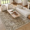 Nourison Concerto Center Medallion Indoor Area Rug - 4 of 4
