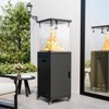 Pamapic 50000BTU Steel Freerstanding Black Patio Heater with Wheels - 2 of 4
