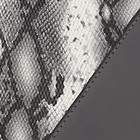 charcoal