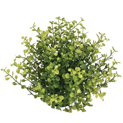 Sullivans Baby Grass Half Orb Decorative Filler 7.5"H Green