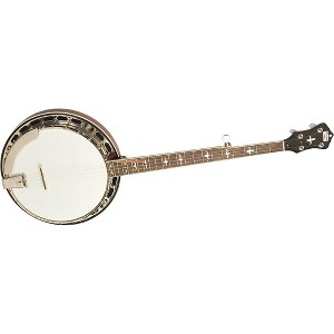Recording King RK-R35 Madison Tone Ring Banjo - 1 of 2