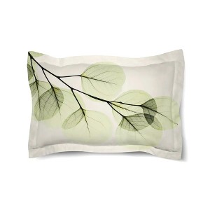 Laural Home Green X-Ray Eucalpytus Leaves 20" x 26" Comforter Sham - 1 of 1
