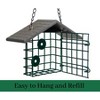 JCS Wildlife Single Suet Cage with Poly Lumber Roof - 2 of 4
