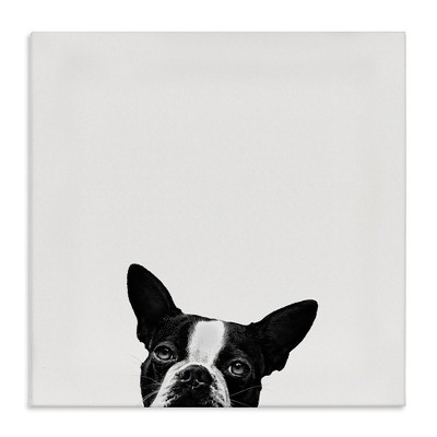 Stupell Industries Dog Peeking From Below, 17" x 17"