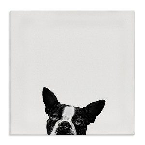 Stupell Industries Dog Peeking From Below, 17" x 17" - 1 of 4
