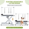 50'' Electric Dog Grooming Table, Professional  X-Type Pet Hydraulic Grooming Table, Anti-Slip Tabletop - 4 of 4