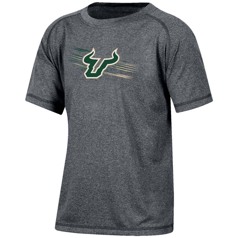 NCAA South Florida Bulls Boys&#39; Gray Poly T-Shirt, 1 of 4