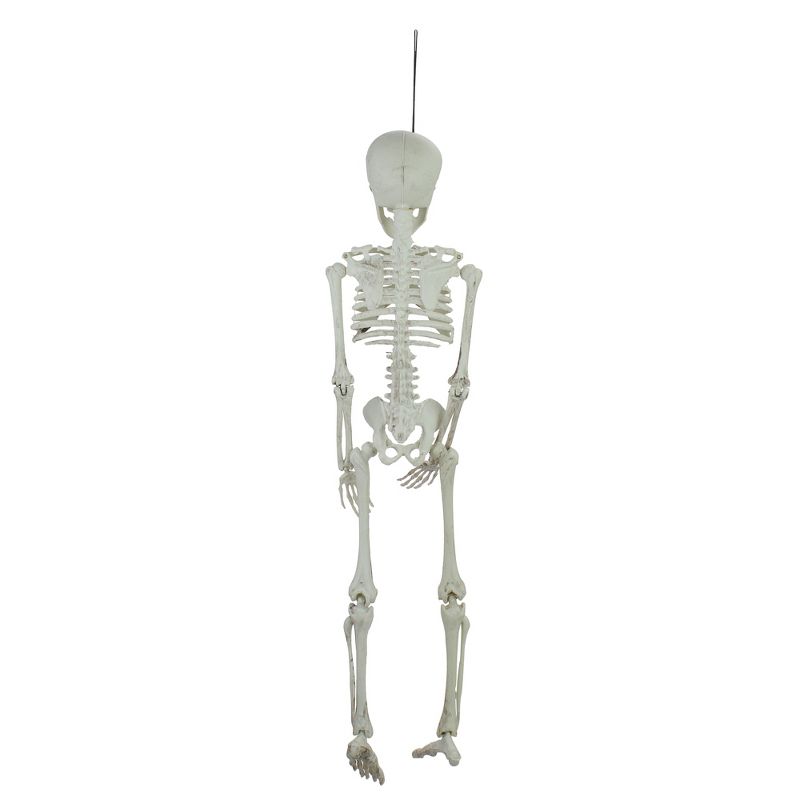 Northlight 20" Jointed Skeleton Hanging Halloween Decoration, 3 of 5