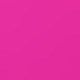 rose red pink