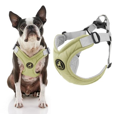 Gooby Memory Foam Step in Harness Green, Large