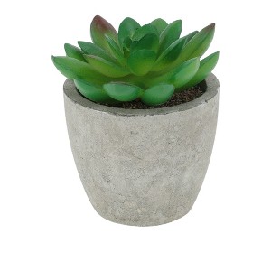 Unique Bargains Artificial Plants Small Graptopetalum in Mini Pulp Plastic 2.76"x2.76"x2.95" 1 Pc - 1 of 4
