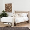 Queen Primo Platform Bed with Storage, No Box Spring Needed - South Shore - 4 of 4