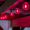 Novelty Lights G50 Globe Hanging LED String Light Replacement Bulbs E17 Intermediate Base 1 Watt - 4 of 4