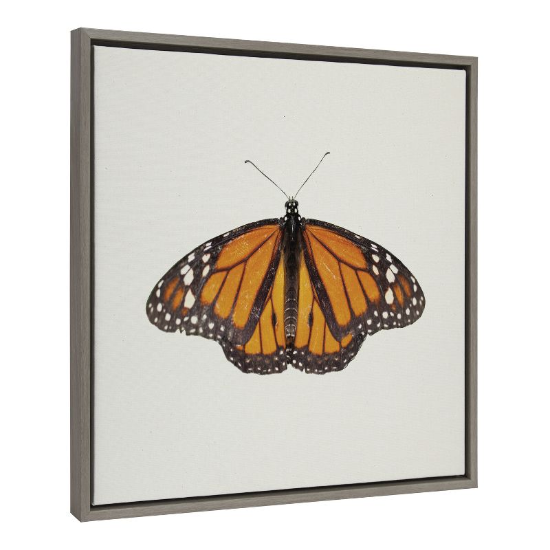 Kate and Laurel Sylvie Monarch Butterfly Framed Canvas by Robert Cadloff of Bomobob, 22x22, Gray, 3 of 9