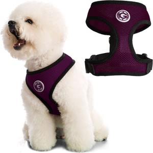 Gooby Soft Mesh Harness, Small Dog Harness with Breathable Mesh, Purple, Small - 1 of 1