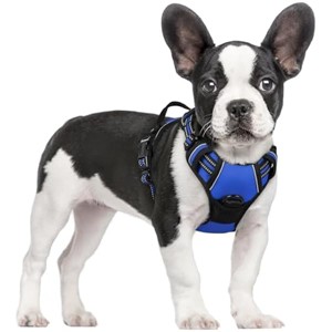 rabbitgoo Dog Harness No Pull with 2 Leash Clips, Control Handle for Small Dogs, Dazzling Blue, S - 1 of 1
