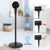 Dexmalle Indoor and Outdoor Pedestal Fan - 4 of 4