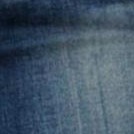 blue-wolf