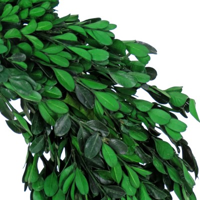 18" Green Artificial Boxwood Spring and Summer Wreath