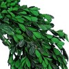 18" Artificial Boxwood Spring Wreath - National Tree Company - 3 of 3