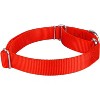 Country Brook Design Martingale Heavyduty Nylon Dog Collar and Double Handle Leash - 3 of 4