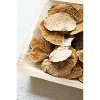 Dried Sponge Mushrooms – 6" Tall Rustic Bowl and Vase Filler Bag of 48 by Kalalou - 2 of 3