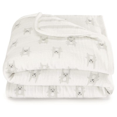 Aden and outlet anais bunny blanket