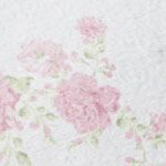 rose bunch pink