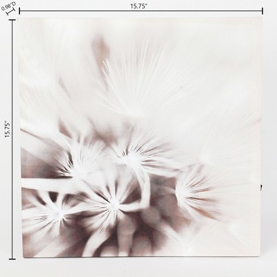 Set of 3 Lighted Dandelion Canvas Prints with Fir Wood Frame