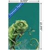 Trends International Snowtap - Chameleon Photobomb Unframed Wall Poster Prints - 3 of 4