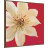 Amanti Art Contemporary Clematis by Danhui Nai Framed Canvas Wall Art - 3 of 4