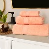 Chevron Zero Twist Cotton Solid and Jacquard Hand Towel Set of 6 by Blue Nile Mills - 2 of 4