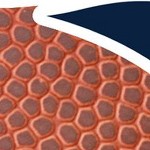 new england patriots