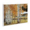 Stupell Industries Autumnal Birch Beauty Wall Plaque Art - 2 of 4