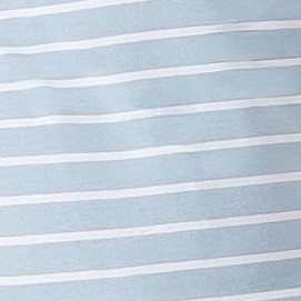 zebra seafoam striped