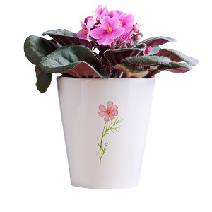 Personalization Mall Birth Month Flower Personalized Mini Flower Pot - 1 of 1