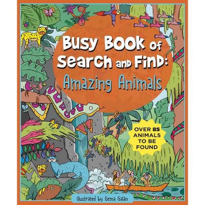 Busy Book of Search and Find - (Hardcover)