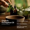 Gya Labs Organic Eucalyptus Essential Oil Eucalyptus Oil Natural Aromatherapy 0.34 Fl Oz - 2 of 4