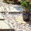 Vynxaria Polished River Rocks - 1-3 Inch Decorative Stones in Black, White, and Diverse Colors for Gardens, Walkways, and Crafts - 2 of 4