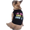 Parisian Pet 'Sexy and I Know It' Dog & Cat Shirt – Humorous Embroidered Novelty Pet Apparel, Comfortable & Stylish – Black - 3 of 4