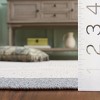 Braided BRA281  Machine Washable UV Resistant Stain Resistant Non-Shedding Hand Woven Indoor/Outdoor Rugs - Safavieh - 4 of 4
