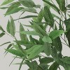 Whizmax Artificial Eucalyptus Tree Tall, Thick Stem and Realistic Leaves, Suitable for Indoor and Outdoor, Ideal Decoration for Home Office - 3 of 4