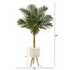 Nearly Natural 5-ft Golden Cane Artificial Palm Tree in White Planter with Stand - 2 of 4